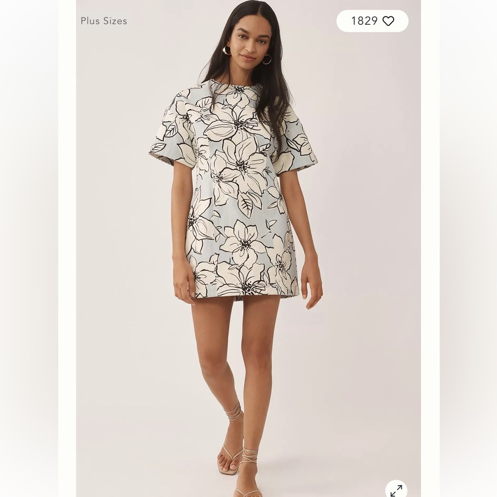 NWT Dhruv Kapoor Short-Sleeve Denim Mini Dress M